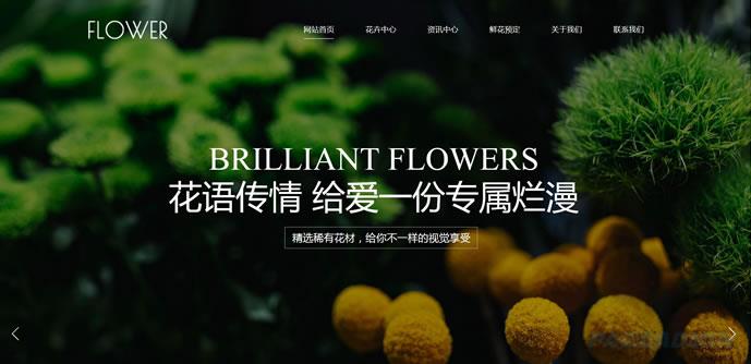 花卉公司网站模板 

T9980.jpg